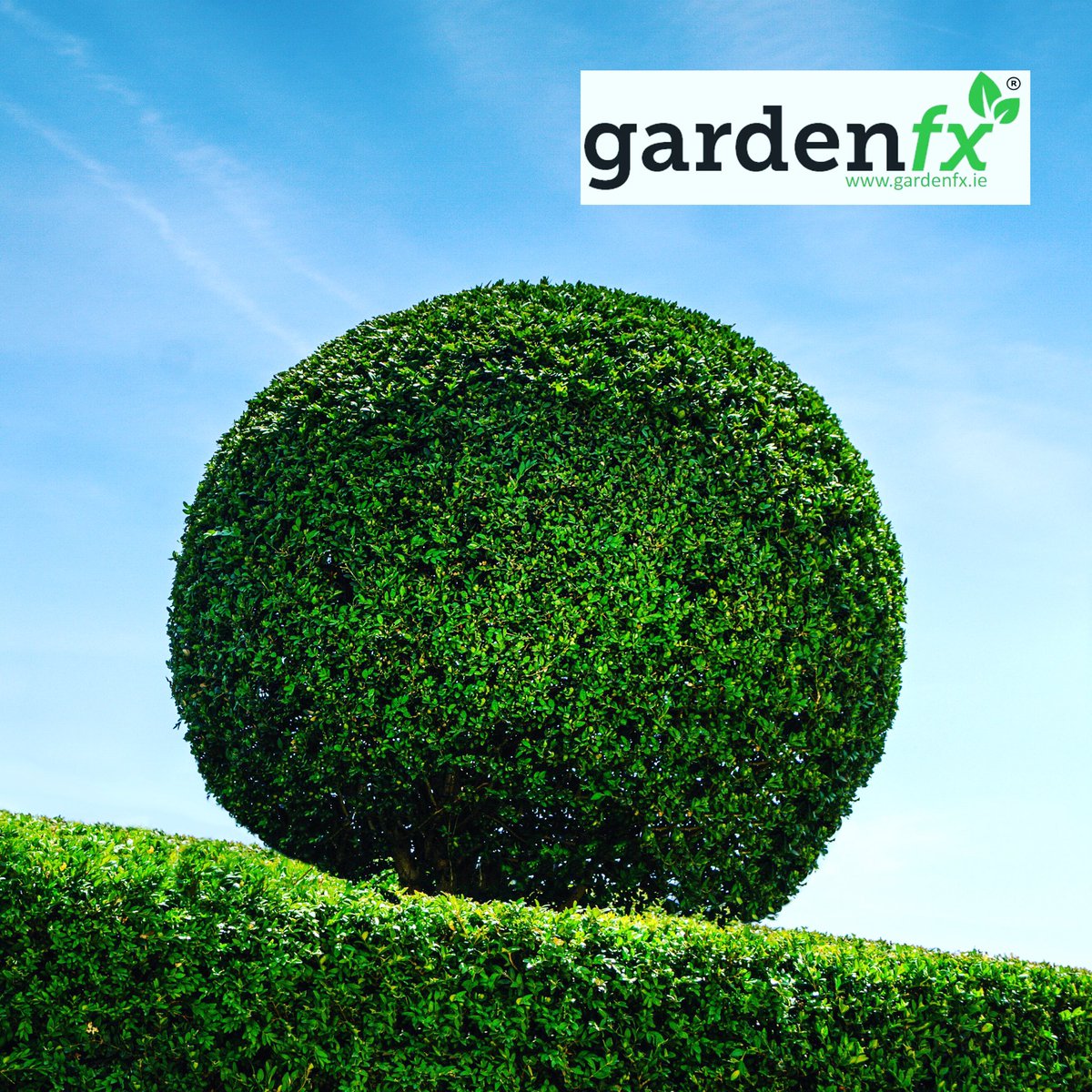 Gardenfx1's tweet photo. Topiary balls now in stock! #artificialplants #gardening #topiary https://t.co/QNmQqzyzz3