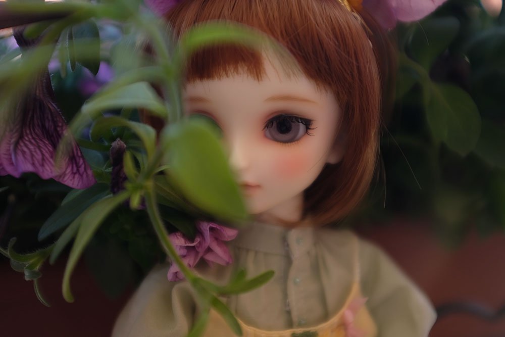 _pasticcina's tweet photo. 💙💜
.
#superdollfie #volksdoll #volkssuperdollfie #superdollfiemidi #sdmf40 #sdm_f_40 #bjd #bjdphoto #bjdhobby #hydrangeas #人形 #ドール #スーパードルフィー https://t.co/NQ5vf8UvR9