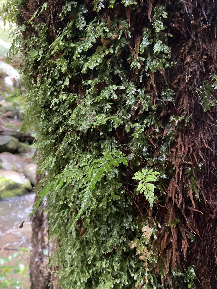 Cameron Tasker tweet media