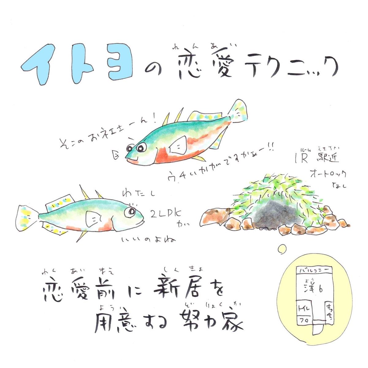 今日はプロポーズの日。
綺麗な川に住むイトヨは新居を用意してプロポーズするし、コウイカはなんかずる賢いし、メバルに至ってはオシッコかけちゃう。 