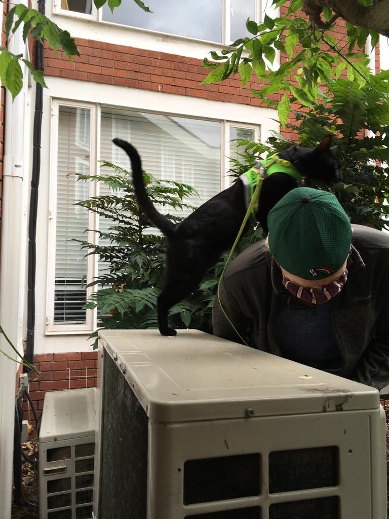 RolfatWarwick tweet picture