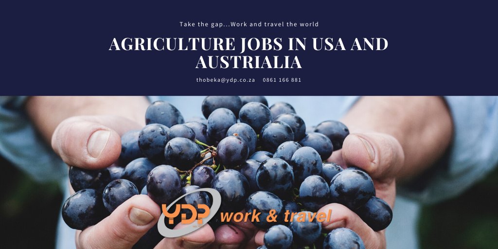 This lockdown has made us appreciate farmers and the agriculture industry sector as they keep on feeding people around the world. We have partnered with the best agricultural establishments in USA, contact Thobeka@ydp.co.za   0861 166 881 | bit.ly/2UDxhF6 |