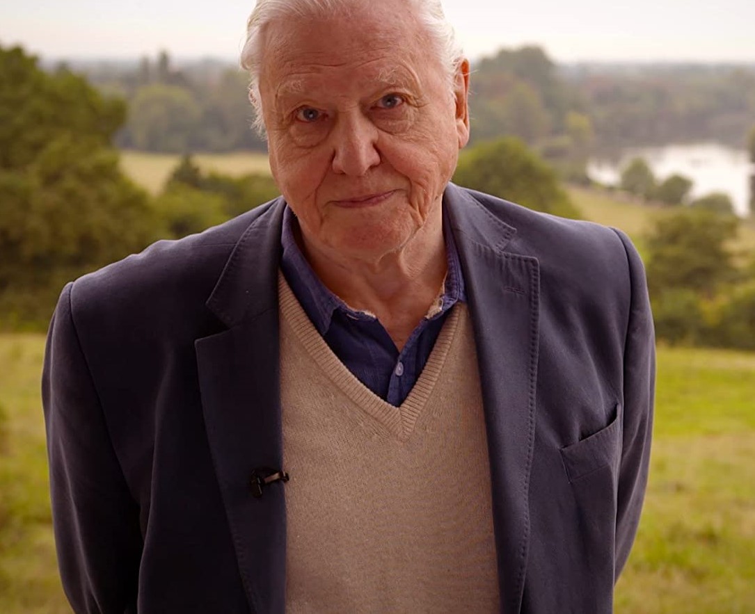 To celebrate <a href="/WorldOceansDay/">World Ocean Day</a>  tomorrow we will be revealing the trailer to the project that we are working on with #SirDavidAttenborough the trailer will be going #worldwide <a href="/LondonLive/">London Live</a> <a href="/BBCNews/">BBC News (UK)</a> <a href="/BBCWorld/">BBC News (World)</a> <a href="/itvnews/">ITV News</a> <a href="/Channel4News/">Channel 4 News</a> <a href="/SkyNewsBreak/">Sky News Breaking</a> <a href="/gem106fm/">Gem Radio</a>  @PeakFM <a href="/londonnewsnow/">London News Now</a>