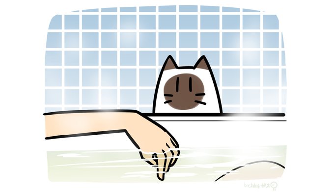 飼い主が深くて熱い水たまりに入っているのを心配するねこ 