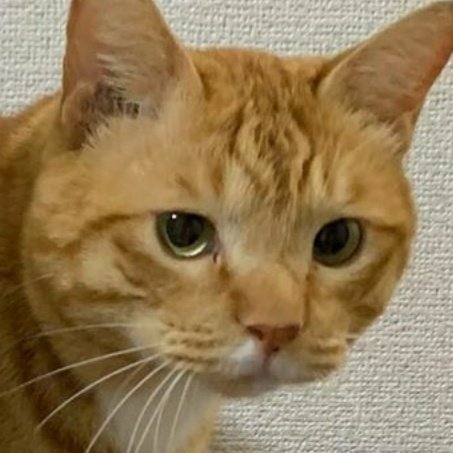 악어 (@1uvyouryouth) on Twitter photo 