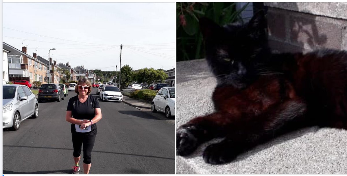 Even the cats come out to support us in Rhiwbina. #BaDRelay15