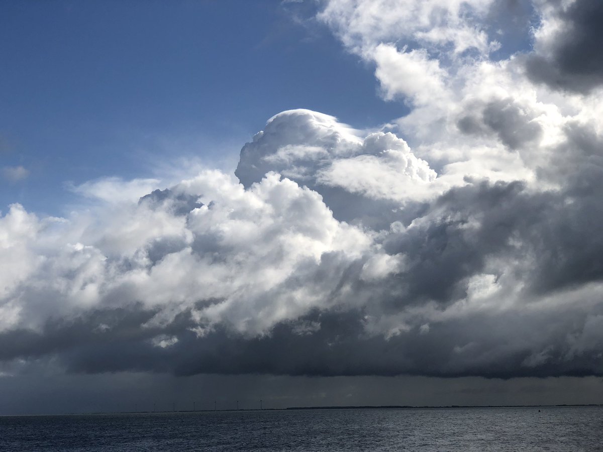 Vortex_NL's tweet image. Vamdaag op de Houtribdijk @janvissersweer