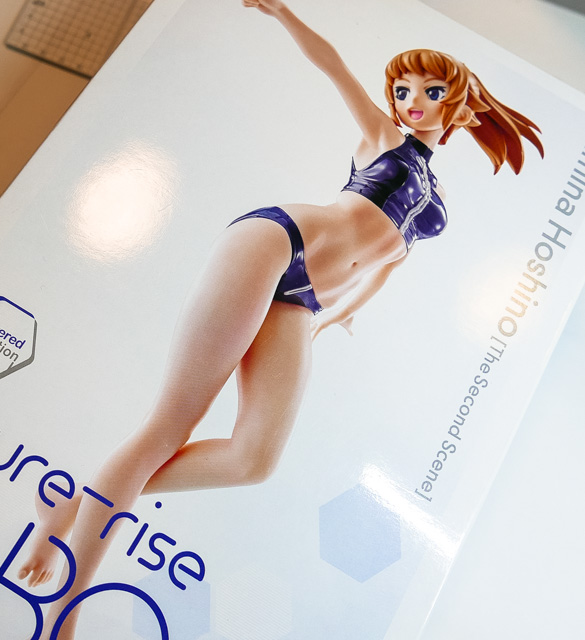 美少女フィギュアを注文したら、名状しがたい何かが箱に入っていた。肌色のパーツの下に赤いパーツを仕込...