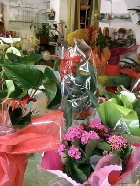 OT_Prunelli's tweet photo. Bonne fête à toutes les mamans🌺💐 https://t.co/G3QShNFveh
