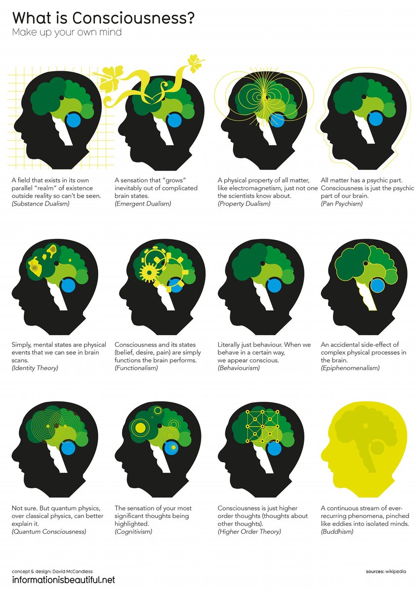 SteveStuWill's tweet photo. An overview of some of the main theories of consciousness https://t.co/Z70rnpuDHF https://t.co/eAM1Cyxzkj