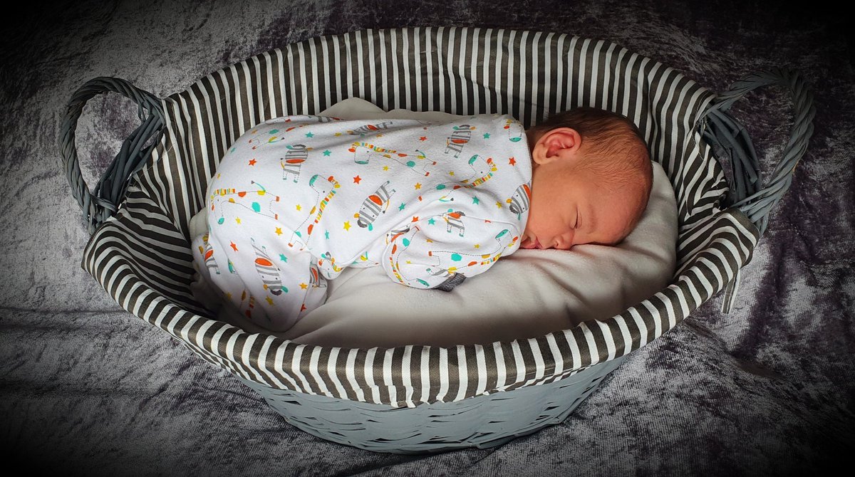 TheMonitorz's tweet image. Nthis is my baby boy. 1 week old today. Please meet Rua! 
The name is unique!
Those who know, know!!
@ShogunRua