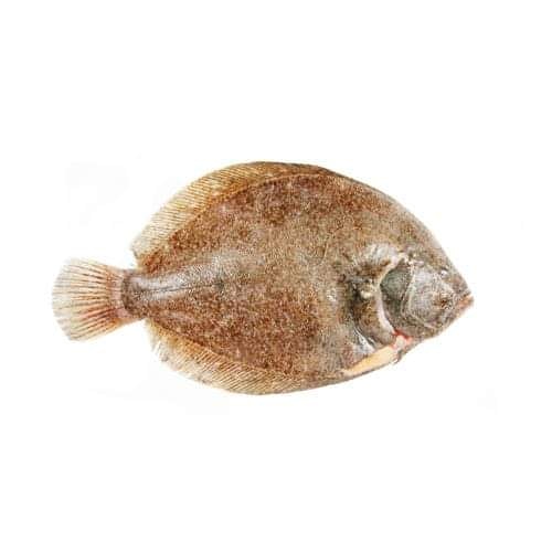 Hastings Fish tweet media