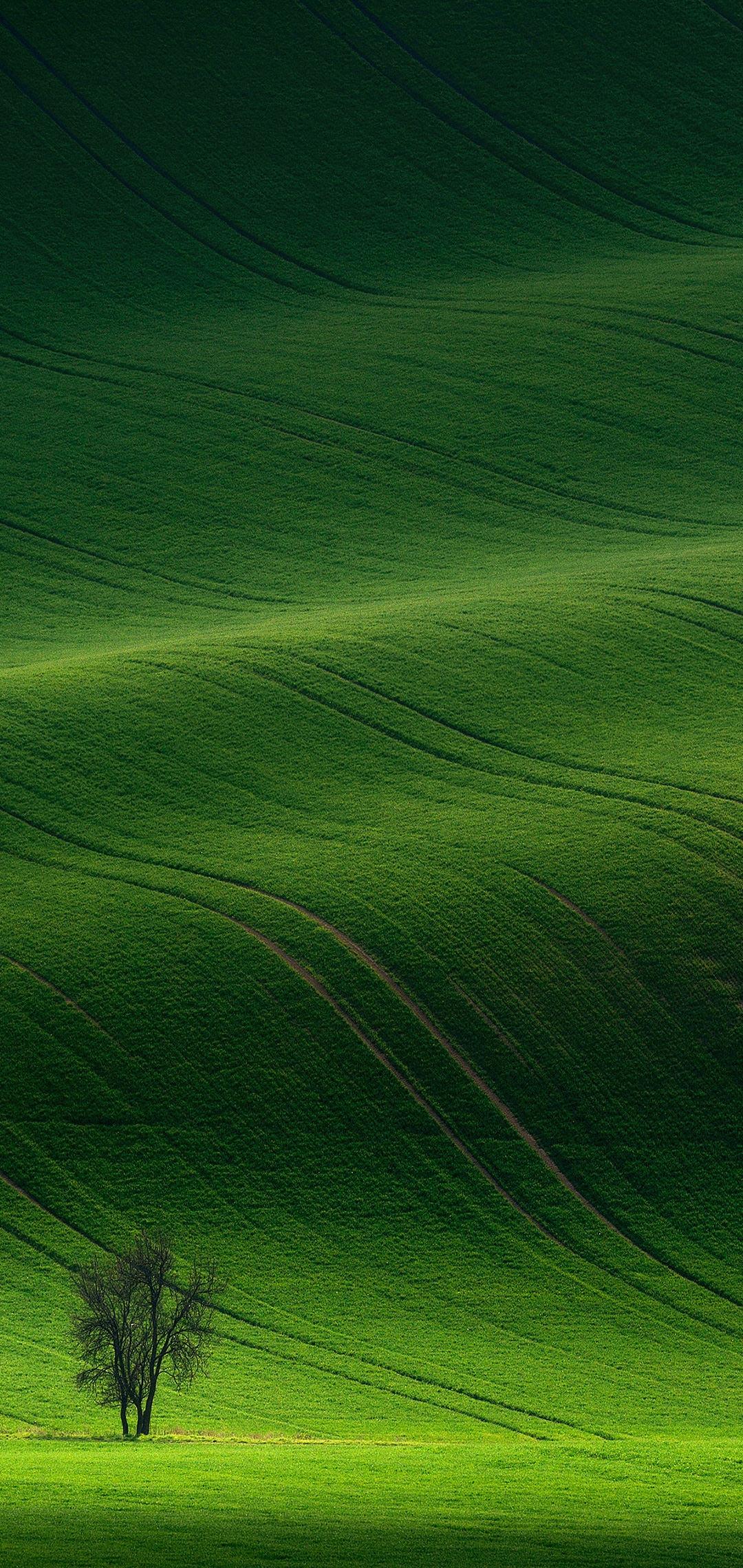 Twitter 上的 Wallpaper Devices Huawei P Lite Green Mobile Tablet Hd Mobile Wallpaper Devices Huawei Lite Green Mobile Tablet Mobile Wallpaper 27 Iphone Android Mobile Wallpaper Freedownload T Co Pepai6w5rz T Co