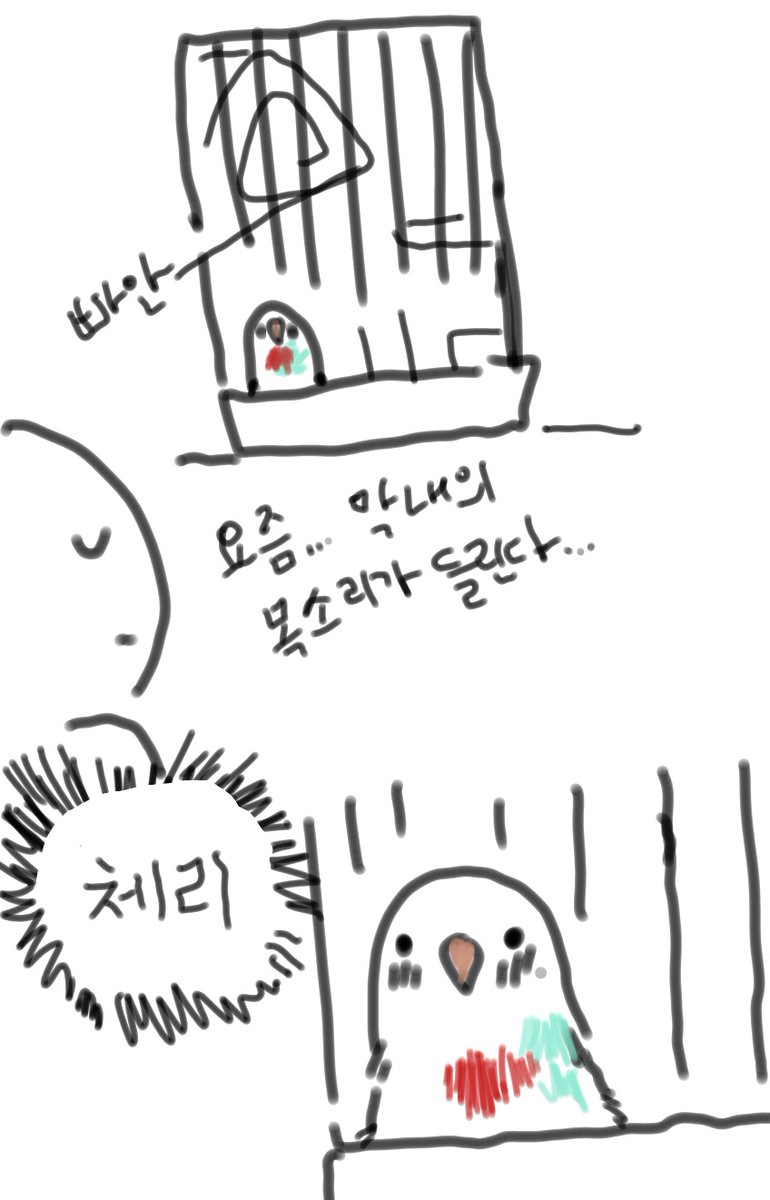 막내는 보통 침대나 횃대에있는데 바닥에서 자꾸 나를보고있다. 체리물든 붉은가슴 사자나미의 목소리가 들린다... 