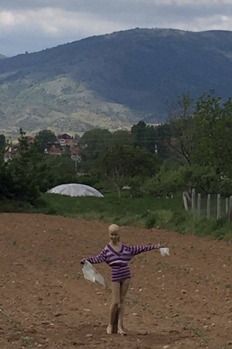 <a href="/AdeMacedonia/">AdeMacedonia ✪</a> Во Виница 😀