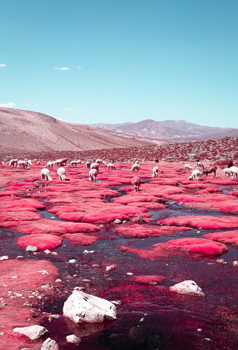 Estas imágenes infrarrojas del río Alpaca en Bolivia, tomadas por Paolo Pettigiani, son lo más cuqui que vas a ver hoy.