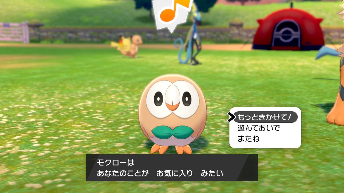 たなか モクロー飼いたい あああああああ 可愛いの暴力 可愛すぎ ポケモン剣盾 モクロー