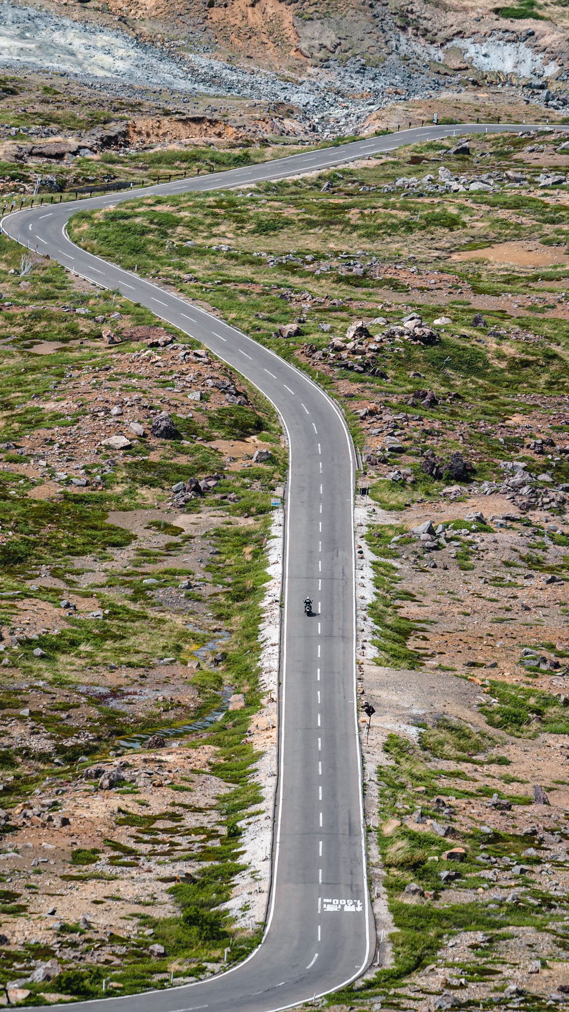 zookomi0124 on Twitter 