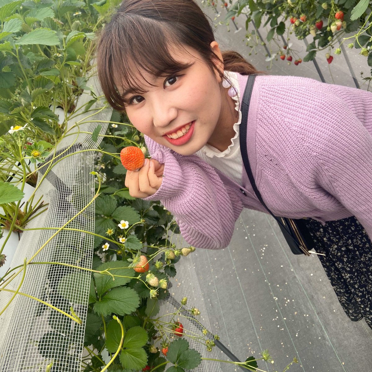 pn27_yf's tweet photo. #向日葵プリンセス2020 
マジェバラで参加します🌻

どんな時でも笑顔を絶やさず、自分のアナウンサーという夢に向かって、全力で頑張りたいと思います！
応援よろしくお願いします！💫

このツイートのRT数上位3名はカラオケパセラ全670部屋の曲間CMにて紹介されるのでRT沢山お願いします！！ https://t.co/VGrdrw9kJm
