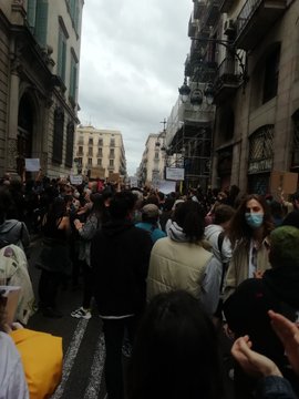 Zobacz obraz na Twitterze