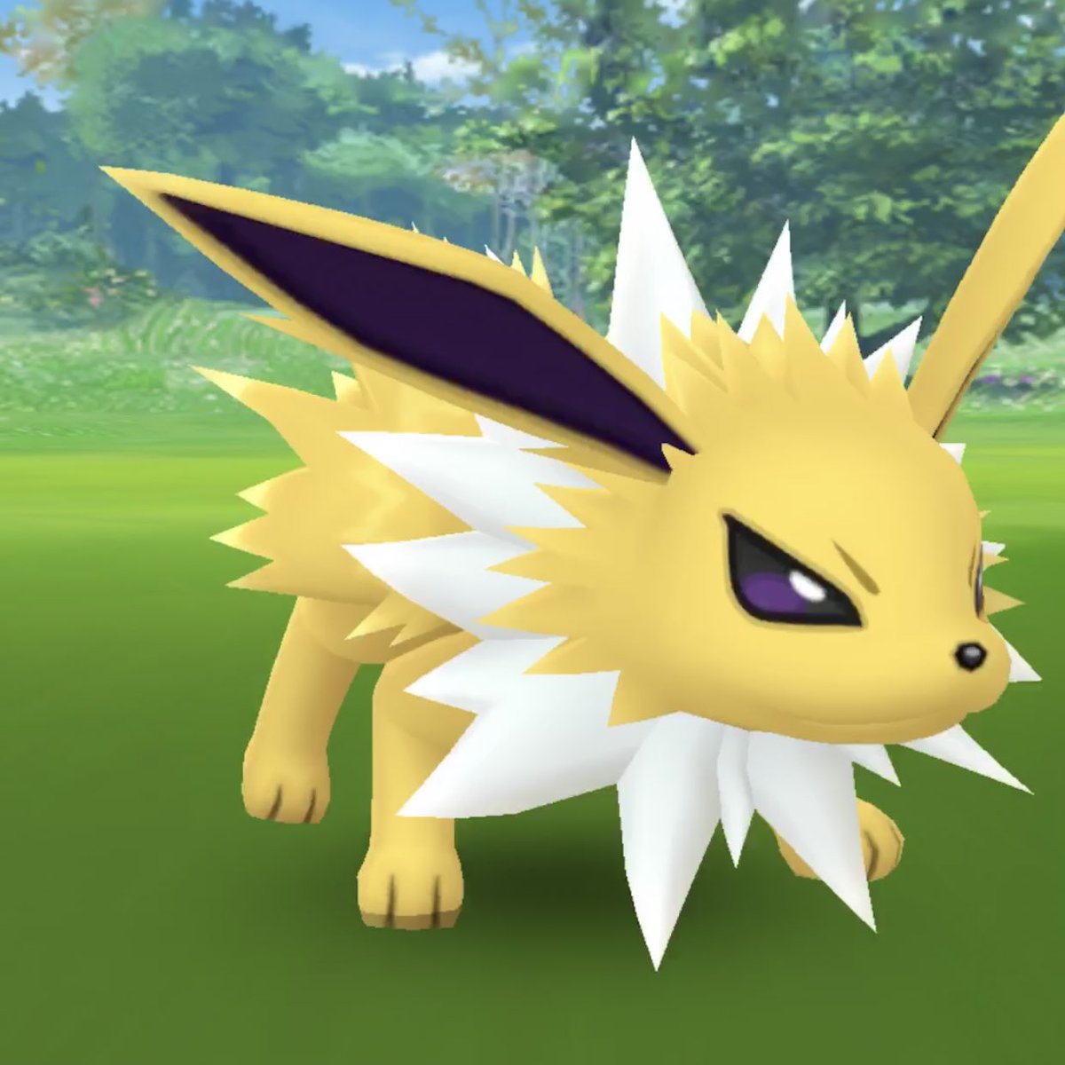 カッコイイし綺麗だしかわいい サンダースは美人 ポケモンgo サンダース Thunders カッコイイし綺麗だしかわいい サンダースは美人 ポケモンgo サンダース Thunders