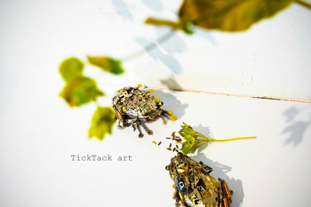 ticktackart's tweet photo. 観葉植物のタネ　頂きものの可愛らしいプラントが花を咲かせた後タネができた　このタネで増殖できたらいいなぁ
#ticktackart #plant #watchpart #recycleart #upcycleart #steampunk #gear #junk #junkart  #チクタクアート　#廃材アート　＃sdgs #カエル　#frog #frogart https://t.co/8T6Sjhn20d https://t.co/Nlsx9PLmrS