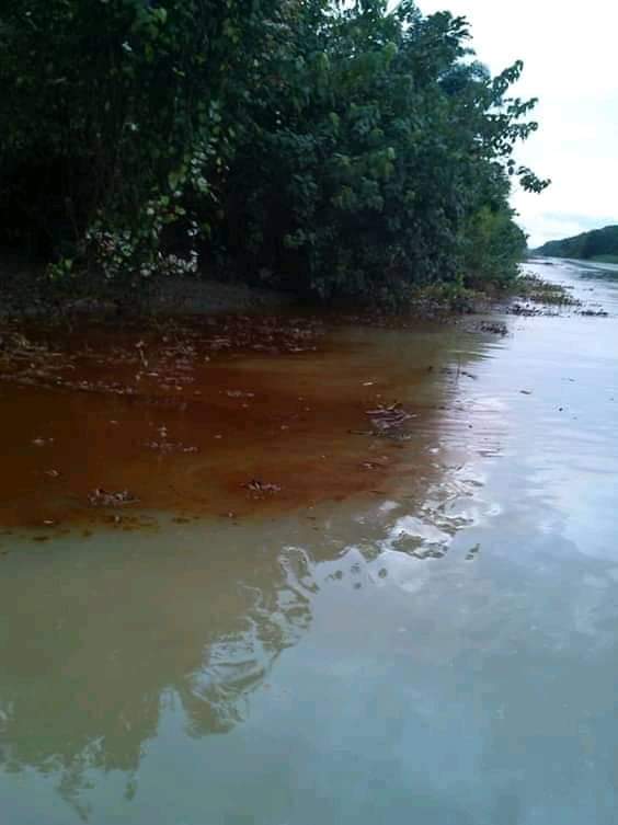 Jennysville's tweet photo. @MBuhari @NNPCgroup @Shell @NGRSenate  Please clean up your dinning table https://t.co/Ah1wmYexhm