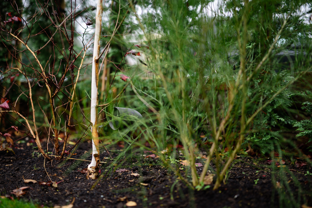 Outdoor Speakers, where sound doesn't need to be seen #ashwaysmarthomes #smartsynergy #smartsynergyuk #uksmarthomes #smarthome #smarthomes #smarthometechnology #homeautomation #control4 #multiroomaudio #invisibleaudio #audiogoals #hiddenspeakers #landscapedesign #landscapeaudio