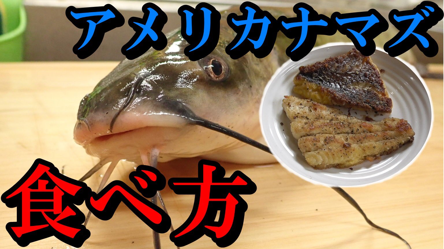 تويتر がりを على تويتر ドブ川で釣った特定外来生物 アメリカナマズ のさばき方や美味しい食べ方を動画にしました アメリカナマズ 本編はこちら アメリカナマズのさばき方から美味しい食べ方 料理法の紹介 T Co 2jpowlwncy T Co Gkrbnqzgrk