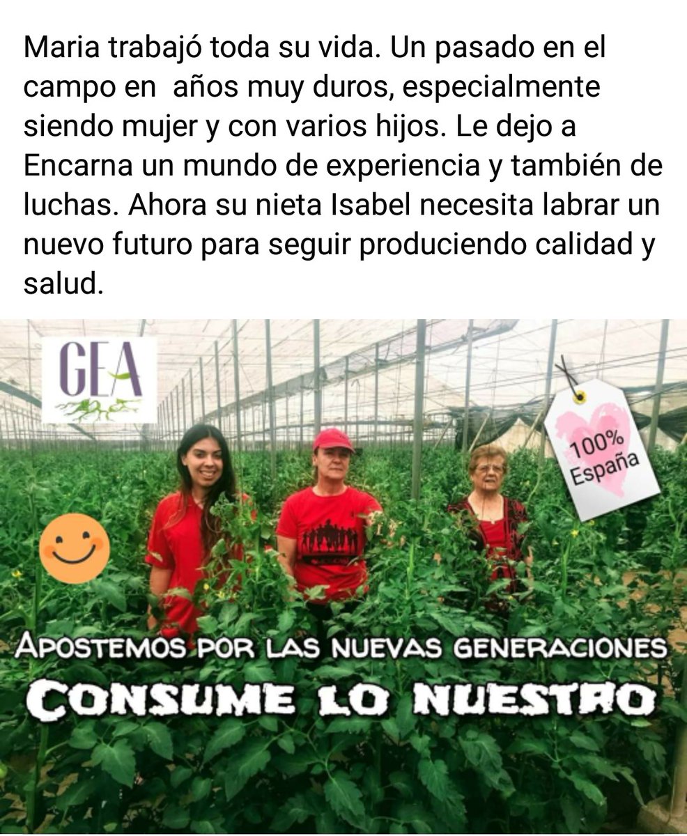 Gea De Mujeres (@geamujeres) on Twitter photo 