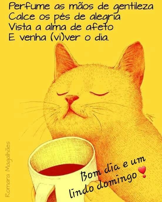 Enos Mendes on Twitter: Enos Mendes on Twitter: