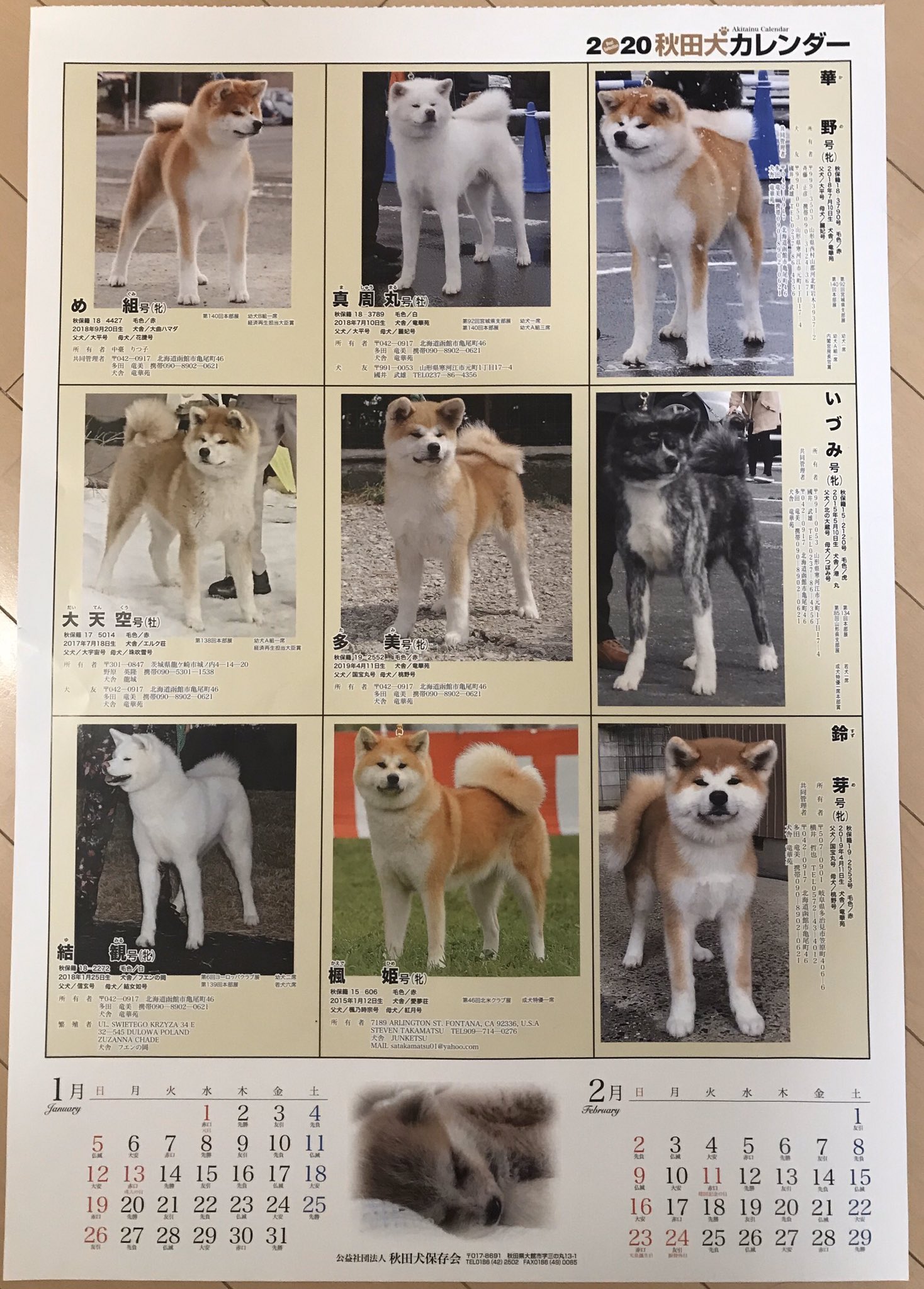 みとも on Twitter: