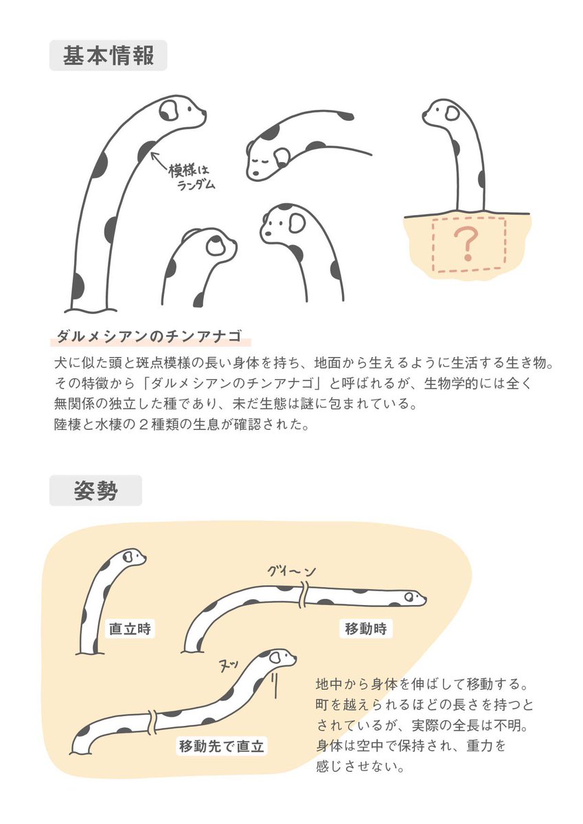 ダルメシアンのチンアナゴの生態

#ダルメシアンのチンアナゴ 