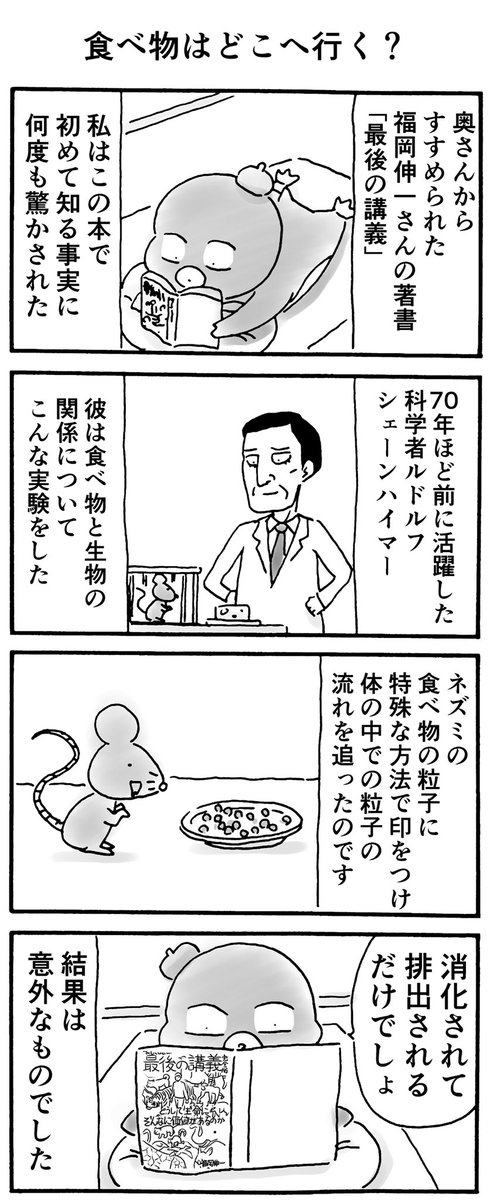 食べ物はどこへいく? 