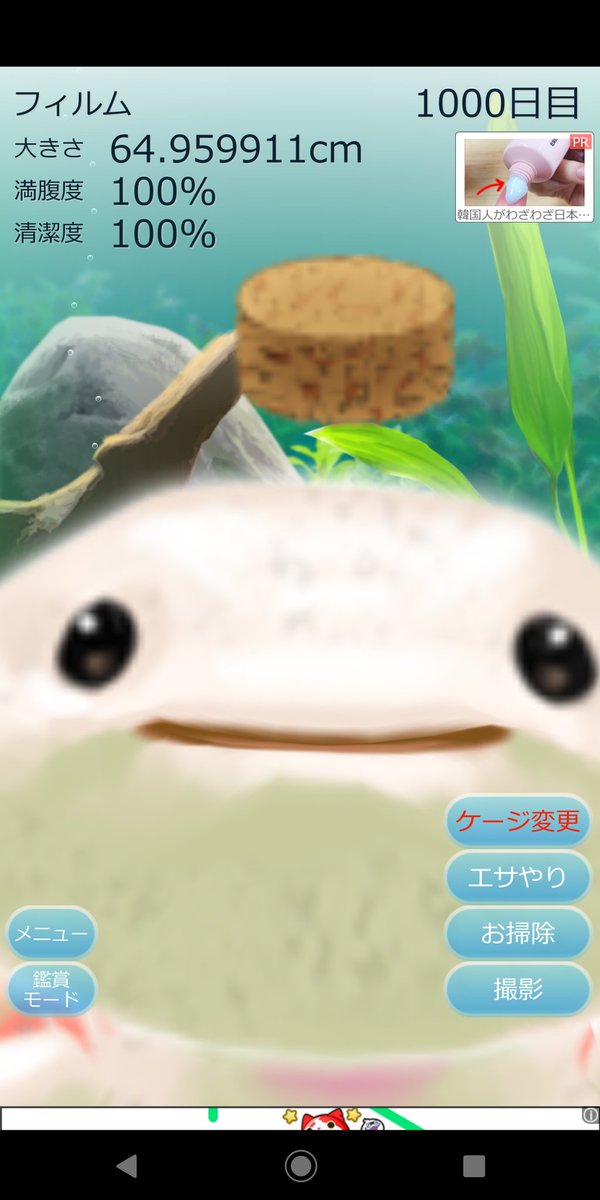 S Kinoshita Kinoppippi Twitter S Kinoshita Kinoppippi Twitter