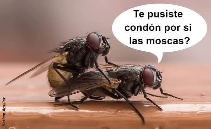 🖤 (@thibuanismorm) on Twitter photo 