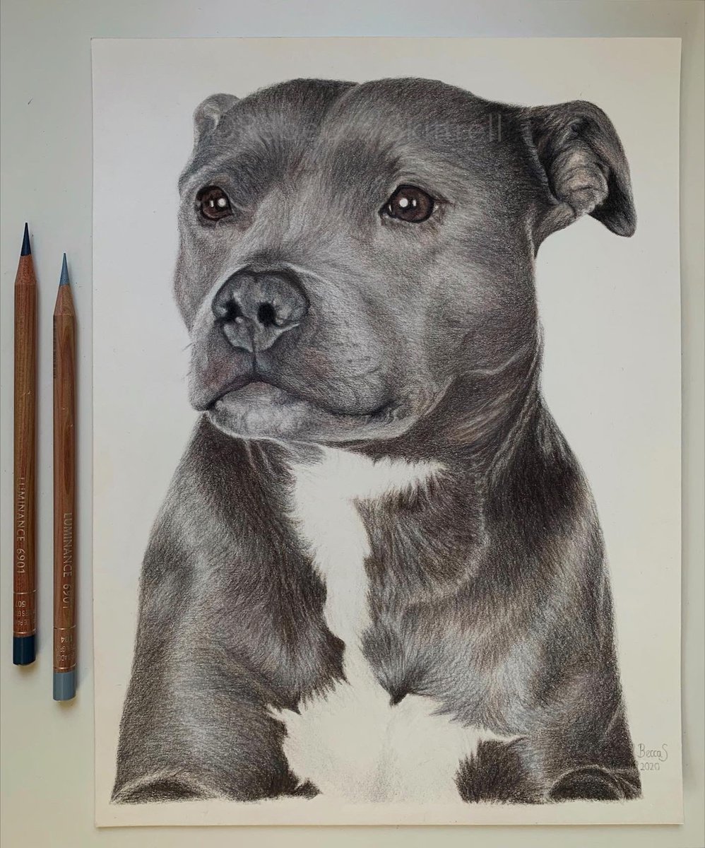 beccaskittrell's tweet photo. @domholland Also I’d be more than happy to give my drawing of Tessa to @TomHolland1996 as a gift, or to you all as a family if you would like to have it😊 https://t.co/ohgWXx8GKD