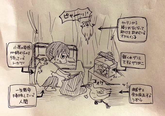 本日の我が家? 