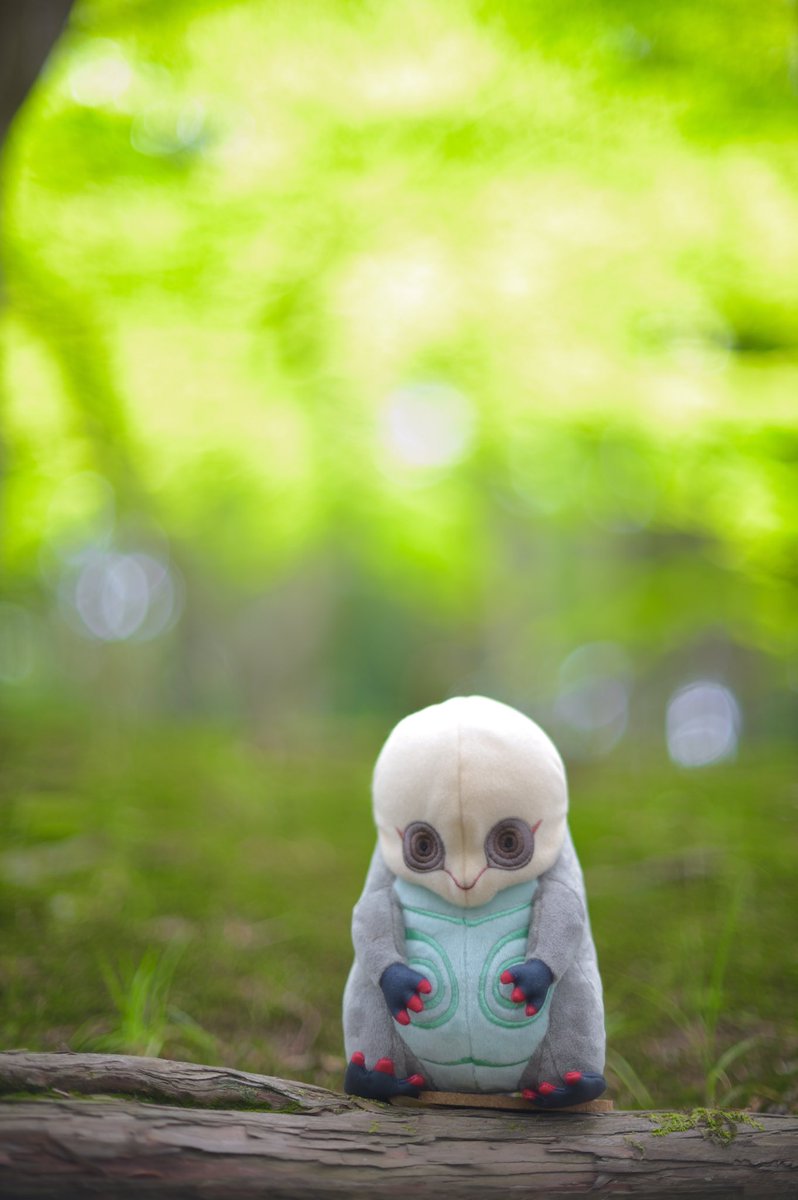 Yoshi No Twitter プトゥンぬいぐるみ購入してくださった方から撮影したお写真を頂きました めちゃくちゃエモい写真で撮り方一つでこんなにも生きてるような雰囲気になるんだなーと感動しました ありがとうございます