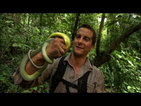  Happy 47th birthday Bear Grylls.
Thank you for making our childhood awesome .    
