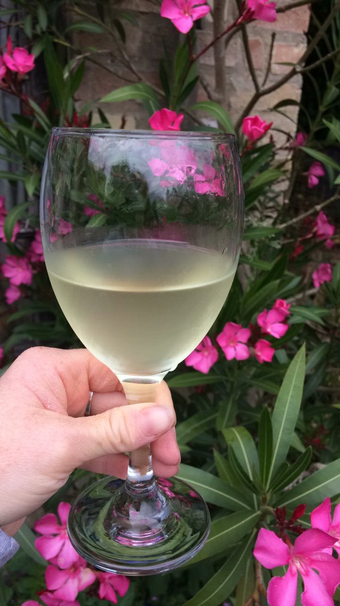 Annabananna tweet media