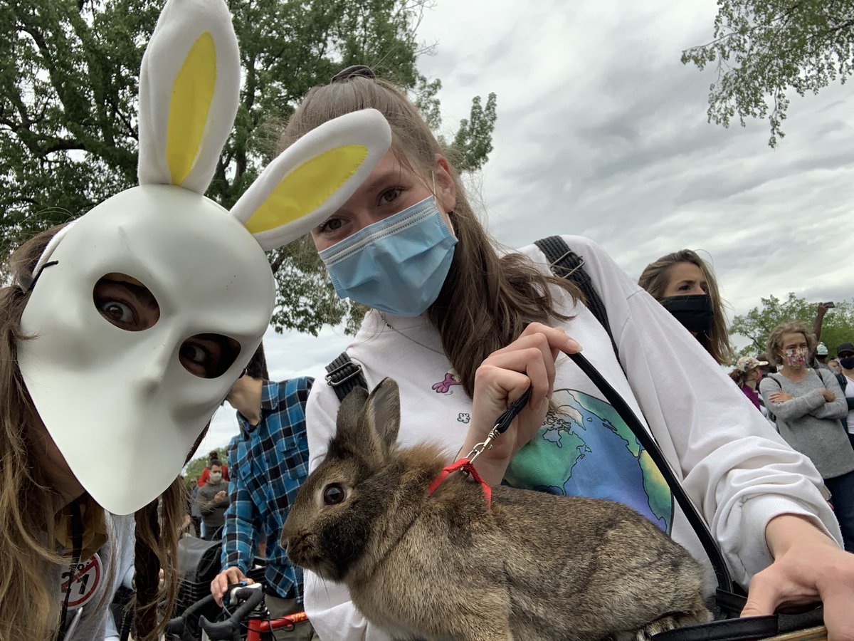 Big rabbit crew! #blm.