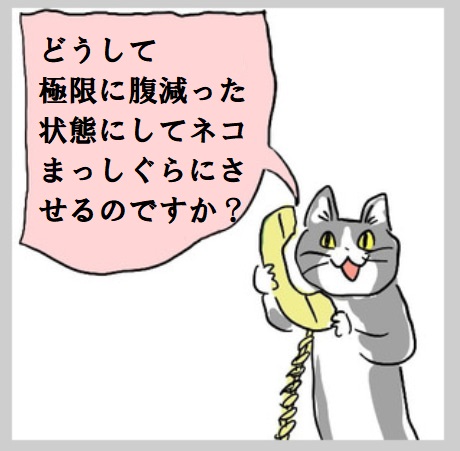 現場猫 の評価や評判 感想など みんなの反応を1日ごとにまとめて