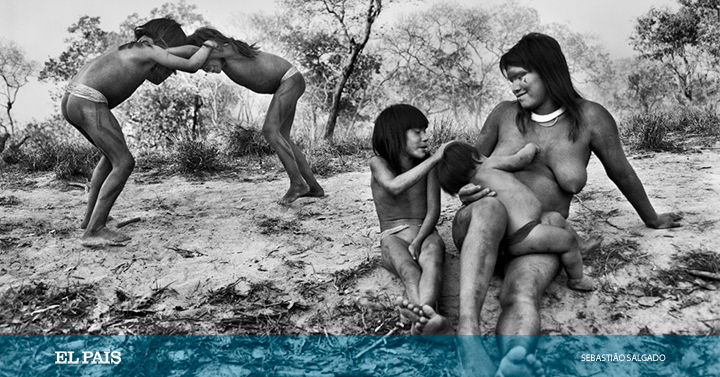 elpais_foto's tweet photo. Fotos: Guardianes del Amazonas ante la pandemia. El fotógrafo Sebastião Salgado reivindica la protección a los pueblos indígenas de Brasil, guardianes de la selva amazónica y de una inestimable herencia de la humanidad  https://t.co/4VzOd6zCFt @elpaissemanal https://t.co/3gjjgggJM7