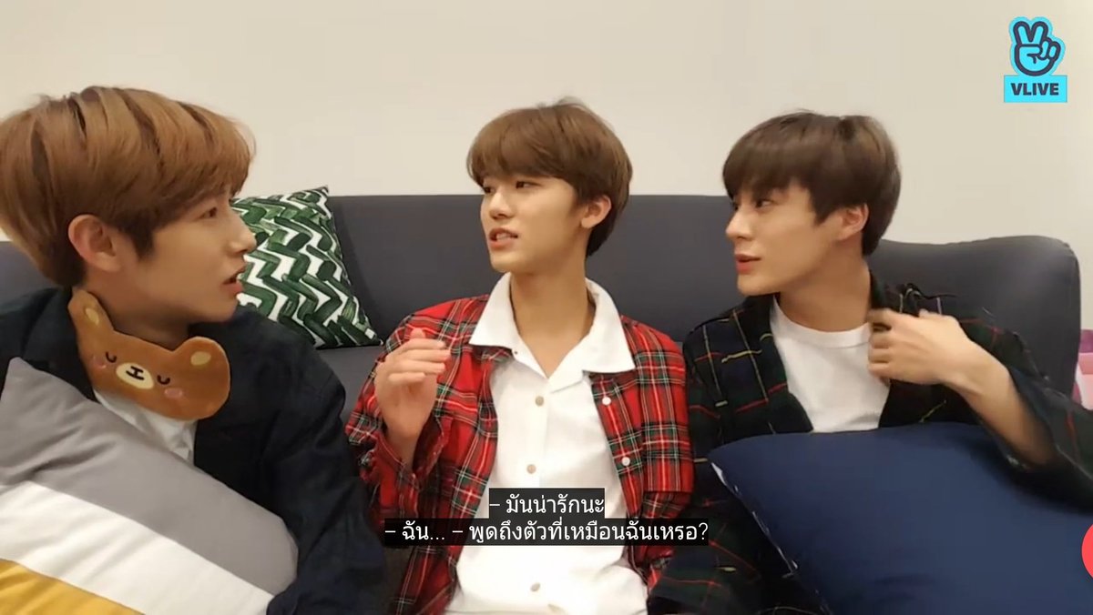 อันนี้ก็ตลก พากันเม้ามอยเรื่องหมา 555555555555555555555