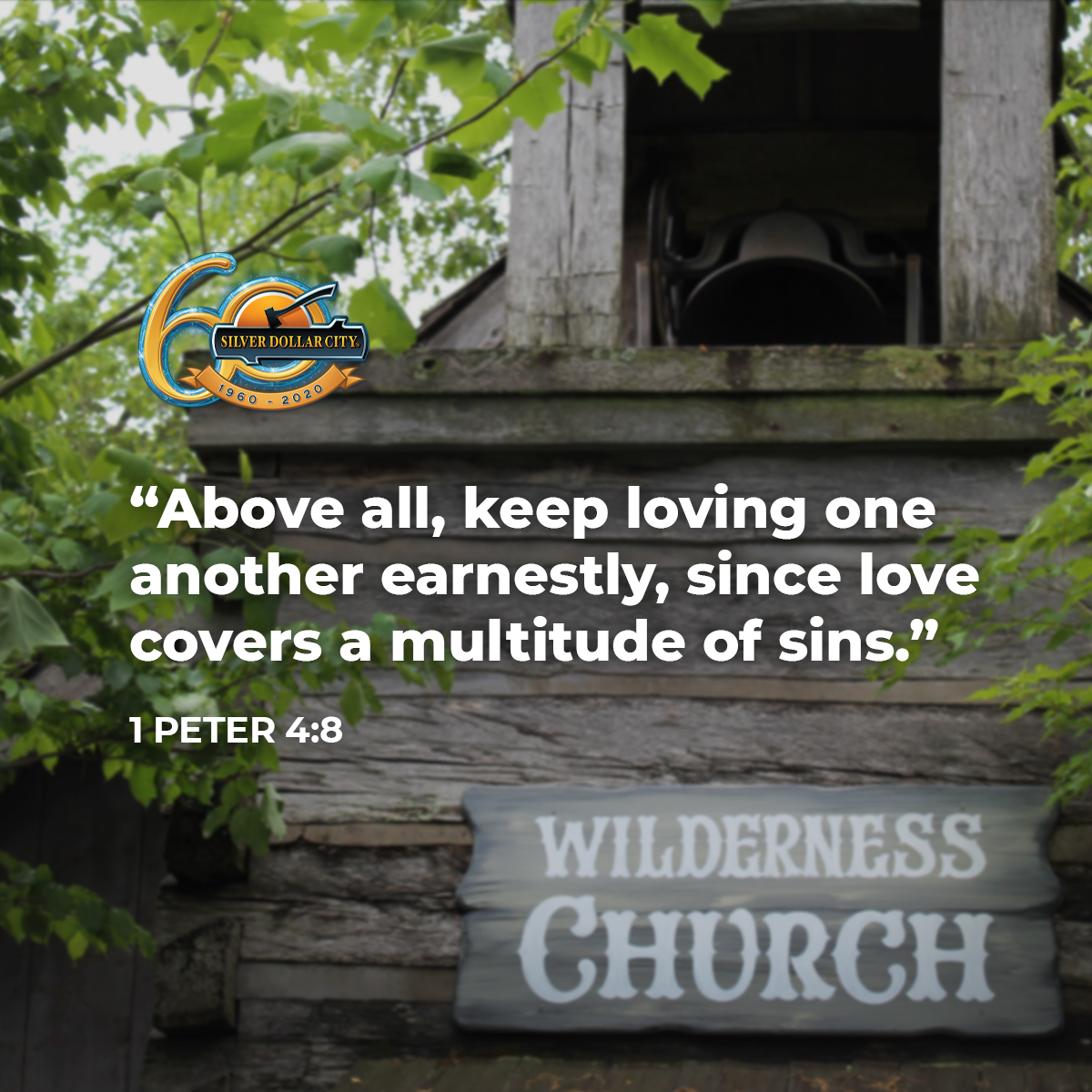 SDCAttractions's tweet photo. Happy Sunday! https://t.co/FlmV5H3zGh