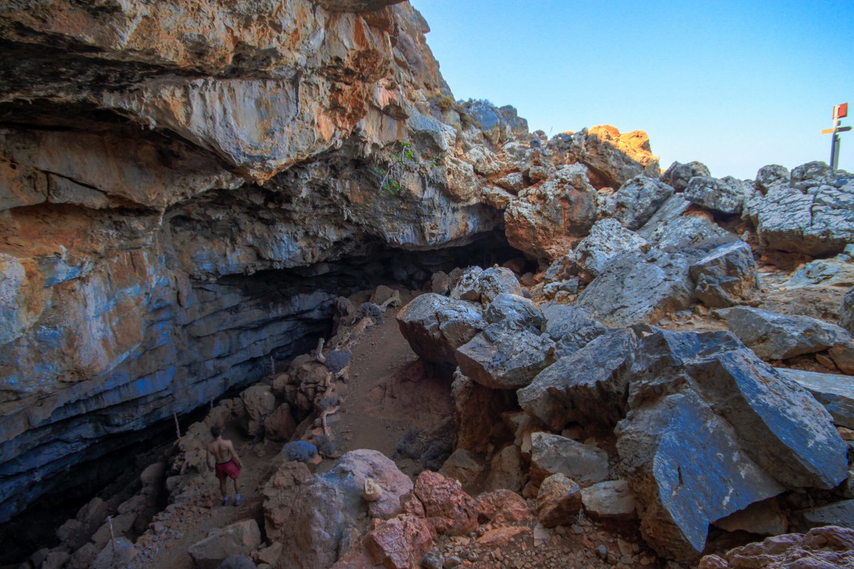 WildGuideGreece tweet picture
