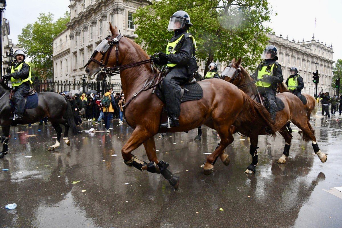 GMPHorses's tweet photo. Following the appalling scenes in London involving our #mounted colleagues @metpoliceuk everyone here @gmpolice Mounted Unit send their best wishes and are relieved to hear both horse and rider are safe and well and wish them a speedy recovery! #MetTaskForce https://t.co/fsllPpNc3G