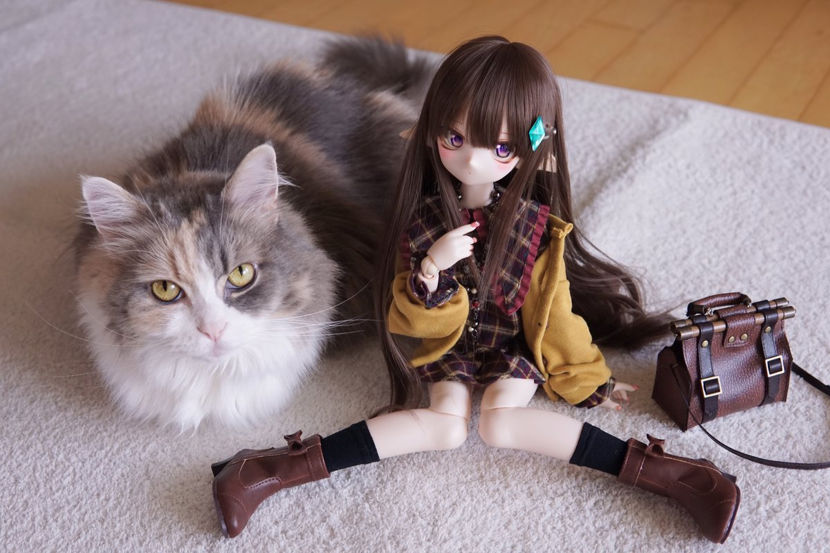 ririyozi's tweet photo. 🤣 https://t.co/eXsrxmu7XZ