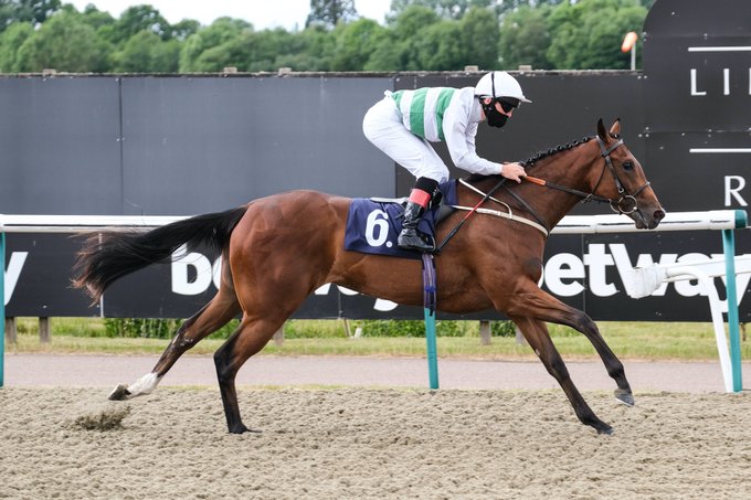 View image on Twitter